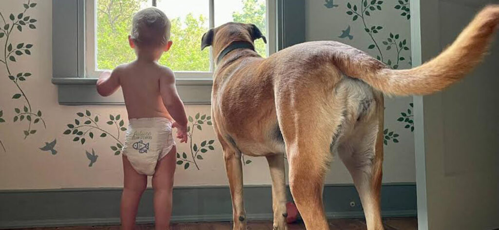 Baby looking out window 1400X445 jpg72
