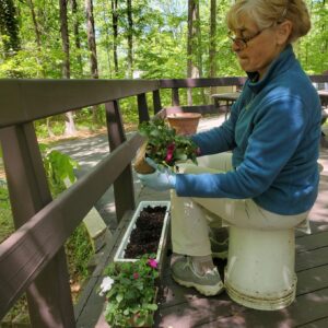 organic soil is vitality