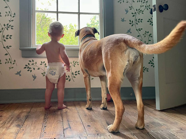 Baby and dog looking out window