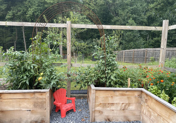 Raised bed garden 576X400 jpg72